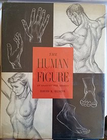 The Human Figure: 2