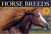 Horse Breeds of North America