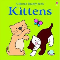 Touchy Feely Book of Kittens (Big Touchy Feely)