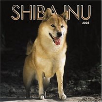 Shiba Inu 2005 Wall Calendar