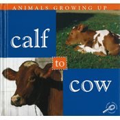 Calf to Cow (Animals Growing Up)