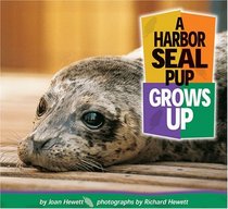 A Harbor Seal Pup Grows Up (Baby Animals) (Turtleback School & Library Binding Edition)