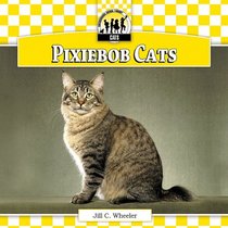 Pixiebob Cats (Cats Set 5: Designer Cats)