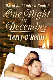 David and Andrew Book 1: One Night in December