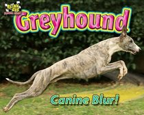 Greyhound: Canine Blur! (Blink of An Eye: Superfast Animals)