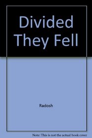 DIVIDED THEY FELL : The Demise of the Democratic Party, 1964-1996