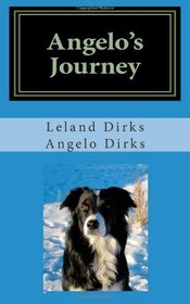 Angelo's Journey: A Border Collie's Quest for Home