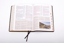 CSB Study Bible, Large Print Edition, Mahogany LeatherTouch, Indexed