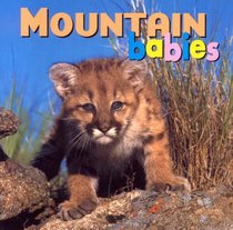 Mountain Babies (Animal Babies)