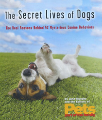 The Secret Lives of Dogs