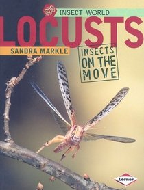 Locusts (Insect World)