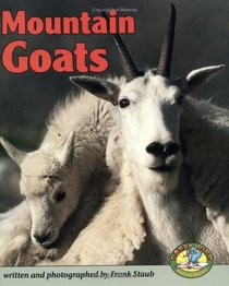Mountain Goats (Early Bird Nature Books)