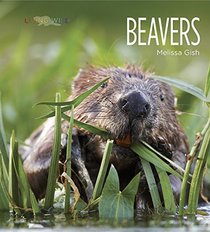 Living Wild: Beavers