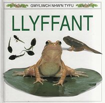 Llyffant (Frog)