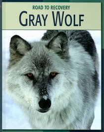 Gray Wolf (Road to Recovery)