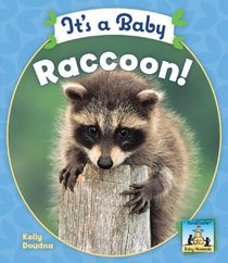 It's a Baby Raccoon! (Baby Mammals)