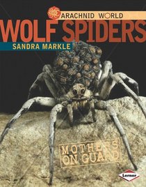 Wolf Spiders: Mothers on Guard (Arachnid World)