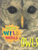 Wild Wild World - Owls (Wild Wild World)