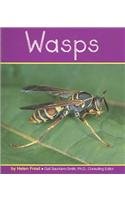 Wasps (Insects)