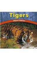 Tigers: Striped Stalkers (Wild World of Animals)