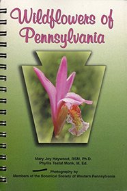 Wildflowers of Pennsylvania