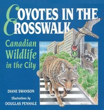 Coyotes in the Crosswalk: Canadian Wildlife in the City
