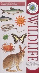 Wildlife of Britain and Europe (Kingfisher Field Guides)
