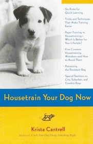 Housetrain Your Dog Now
