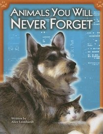 Animals You Will Never Forget (Pair-It Books)