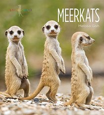 Meerkats: Living Wild