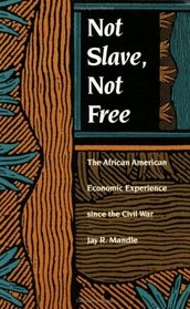 Not Slave,  Free: The African American Economic Experience Since the Civil War