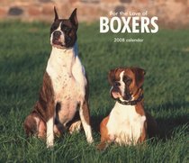 Boxers, For the Love of 2008 Deluxe Wall Calendar (Multilingual Edition)