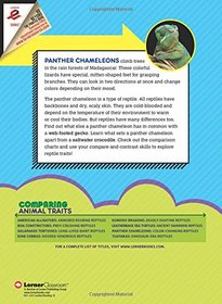 Panther Chameleons: Color-Changing Reptiles (Comparing Animal Traits)