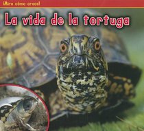 La vida de la tortuga (The Life of a Turtle) (Mira Como Crece) (Spanish Edition)