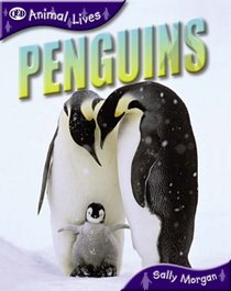 Penguins (QED Animal Lives)