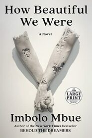 How Beautiful We Were: A Novel (Random House Large Print)