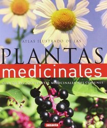 Atlas ilustrado de las plantas medicinales / The Complete Family Guide to Holistic Herbal (Spanish Edition)