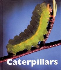 Caterpillars (Naturebooks)