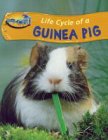 Take-off! Life Cycle of a Guinea Pig (Take-off!)
