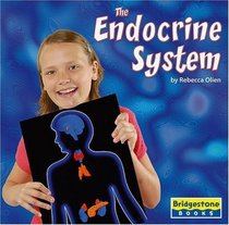 The Endocrine System (Human Body Systems)