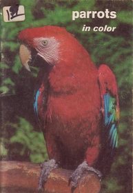 Parrots in Colour