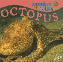 Octopus (Marine Life)
