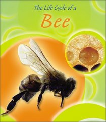 The Life Cycle of a Bee (Life Cycles)
