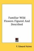 Familiar Wild Flowers Figured And Described