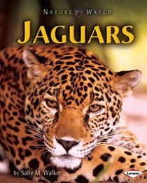 Jaguars (Nature Watch)