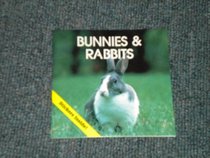Bunnies & Rabbits (Animal Information Series)