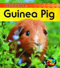 Guinea Pig (2nd Edition) (Heinemann First Library)