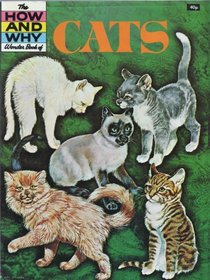 Cats (How & Why)