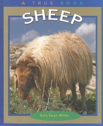 Sheep (True Books)