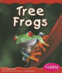 Tree Frogs (Rain Forest Animals)